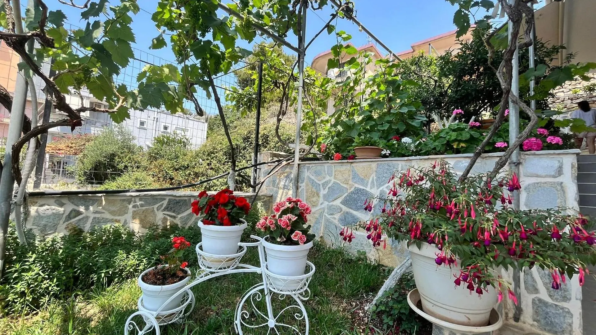 Apartment Villa 24 Sarande