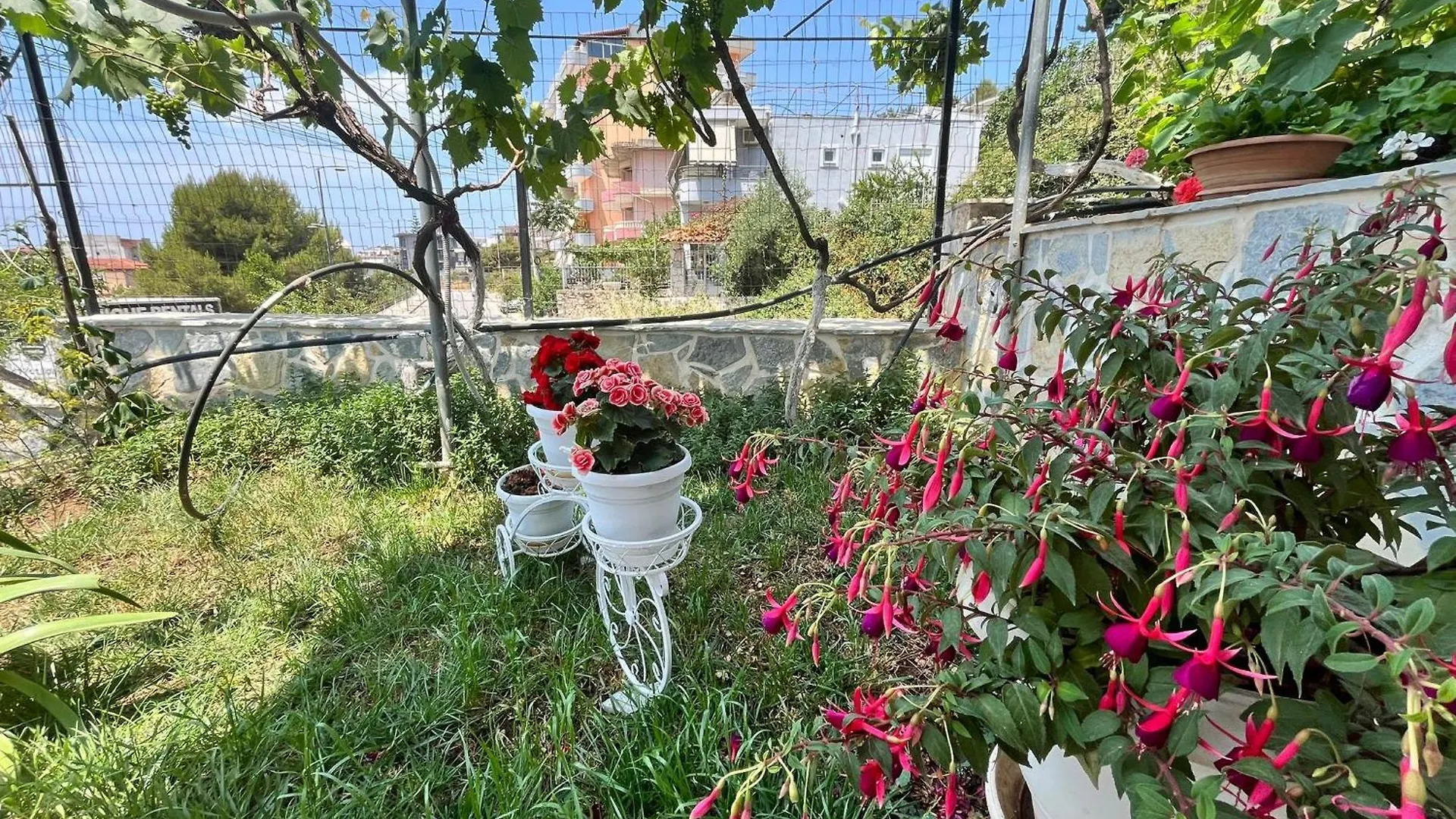 شقة Villa 24 ساراندا ألبانيا